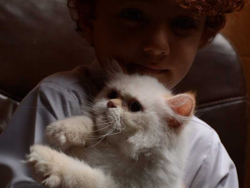 Magia de la&nbsp;colaboración